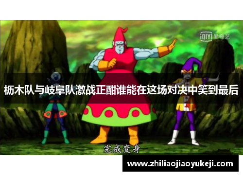 枥木队与岐阜队激战正酣谁能在这场对决中笑到最后